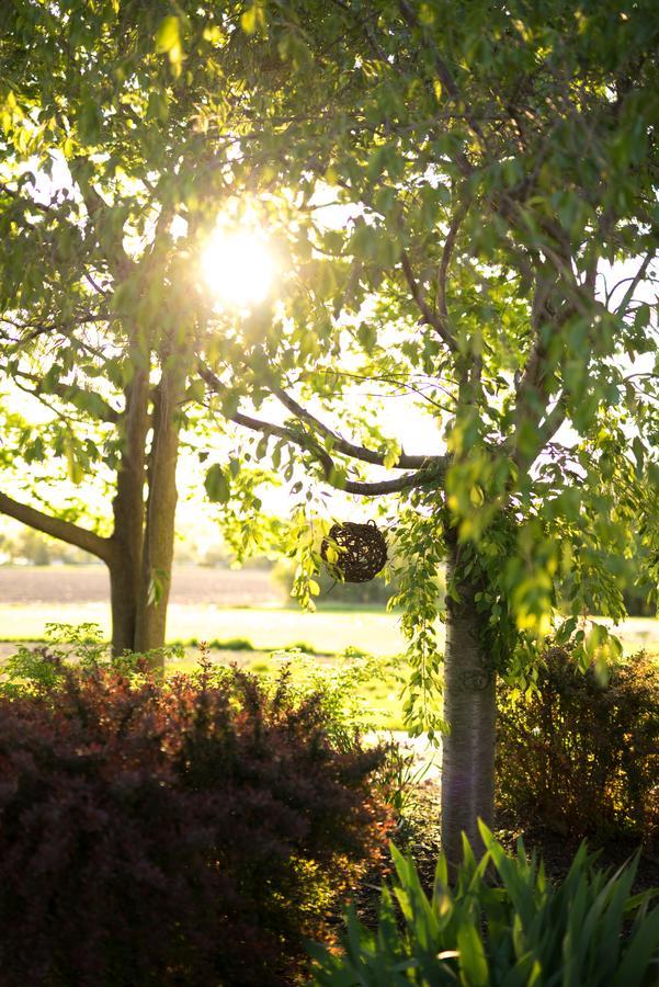 Yale Manor B&B & Yurt Glamping ภายนอก รูปภาพ