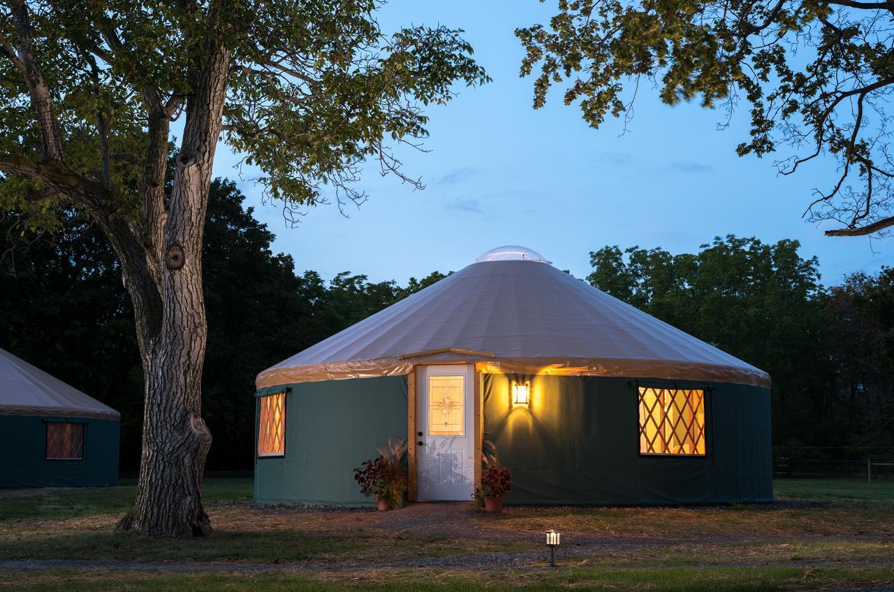 Yale Manor B&B & Yurt Glamping ภายนอก รูปภาพ